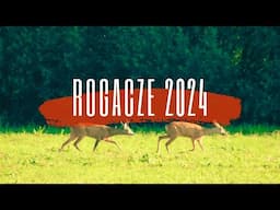 Rogacze 2024