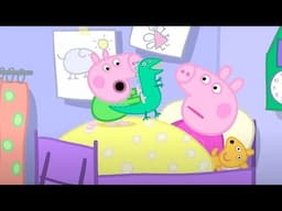 Heo Peppa | Giờ sinh nhật! | Phim Hoạt Hình Cho Trẻ Em