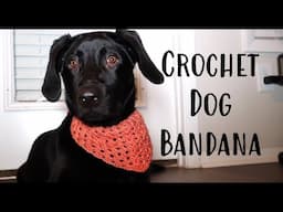 How to Crochet a Dog Bandana