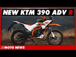 Moto News: KTM's New 390 Adventures, Best 450s, 2025 Updates From Honda & Enfield!