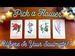 Where tf is your Soulmate? 🙃💕 Detailed Pick a Card Tarot Reading 💘