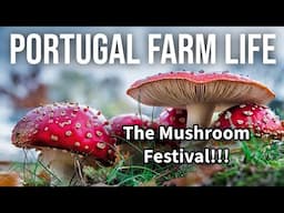 Míscaro's Mushroom Festival🍄 Portugal’s Most Delicious Event!