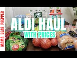 Quick run to ALDI to grab a few things / Aldi grocery HAUL with prices!