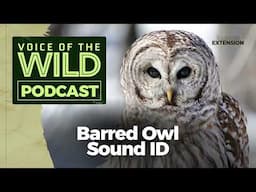 Episode 39: Barred Owl – Voice of the Wild