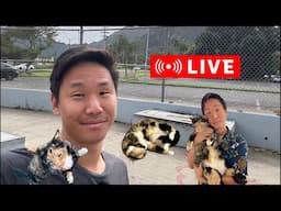 [LIVE] Trick Requests & Hangout LIVE in Hawaii!