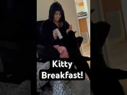 KITTY WANTS BREAKFAST! #kitty #cat #blackcat #breakfast #catvideo