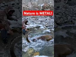 Ibex Found Stone Cold in River! Nature is Metal!