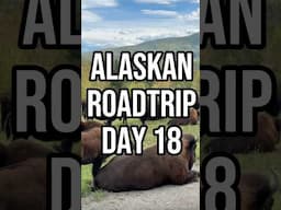 Day 18 Alaskan Roadtrip