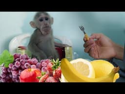 Avoid to gett sick Wawa stay in the room Mike prepare a lot of fruit for wawa | Monkey wawa