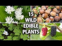 15 Wild Edible Plants for Wilderness Survival