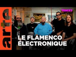 Flamenco Eletronica : une nouvelle génération tape du pied | Tracks | ARTE