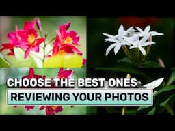 How to Review and Improve Your Photos Effectively - Photography Tips