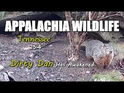 Appalachia Wildlife Video 25-4 of AS THE RIDGE TURNS in the Foothills of the Great Smoky Mountains