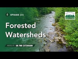 Protecting Forested Watersheds - From the Woods Today - Episode 231