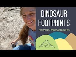 Dinosaur Footprints: the Massachusetts State Fossil