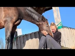 When a horse become your emotional support - Animals Showing Love to Human