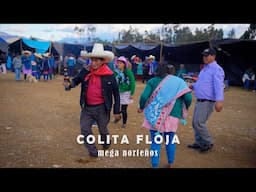 COLITA FLOJA - MEGA NORTEÑAS - ESTRENO OFICIAL 2025 - GADIEL PRODUCCIONES 959451227 HUANCABAMBA