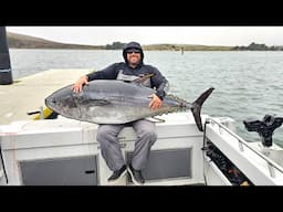 The Biggest Bluefin Tuna I Have Ever Seen (Northern California)