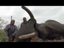 Bush Africa Safaris Elephant Hunting 2025