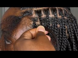 HOW TO DO KNOTLESS BOX BRAIDS | BEGINNER FRIENDLY |  VERY DETAILED | Lanays Braids