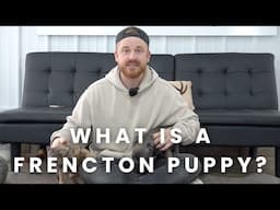 What is a Frenchton Puppy? | The Difference Between a 50/50 Frenchton & 75/25 Frenchton?