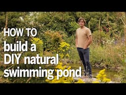 How to build a DIY small natural swimming pond in your garden