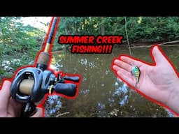 Failed BASS Fishing 1v1 Turned Into CREEK Fishing (Very Humid!!!)