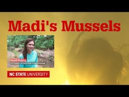 Madi's Mussels | Measure Nature