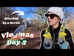 18 miles on trails | Training for an ultra marathon.  Vlogmas Day 5