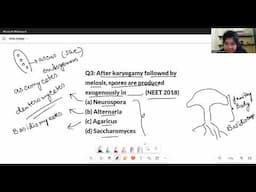 PYQ Fungi Biological Classification | Previous Year Questions| NEET SERIES VIDEO 8