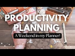 Productivity Planning in a Daily Planner - I need a Productive Weekend in my Passion Planner Daily ✨