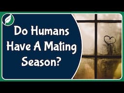 Do humans have a mating "season", and what might affect it?