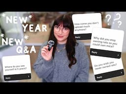 Do I wish I never owned Rats & my 5 year goal | Q&A