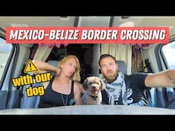 Dog Owners BEWARE! Stressful Mexico Belize Border Crossing