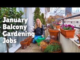 Container Gardening Jobs In January - Easy To Follow Checklist