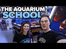 This is a SCHOOl for AQUARIUM enthusiasts?! -*BEST SCHOOL IN THE WORLD*