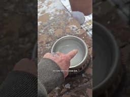 Managing frozen water for the animals