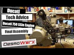 Ducati 750 SSie 2003 Engine build Part 3 - The Final Assembly - oil Pump, Cylinders and Heads