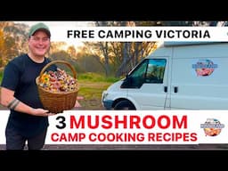 Mushroom Camp Cooking Meals / Hamilton Crossing Free Camp Ground Victoria /  Free Camping Australia