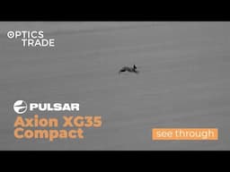 Hare with Pulsar Axion XG35 Compact | Optics Trade See Through