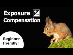 What is Exposure Compensation.. and How Do We Use it in Wildlife Photography?