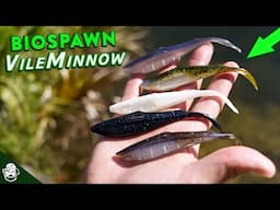 Breaking Down the NEW BioSpawn VileMinnow!