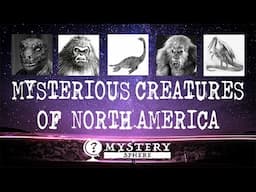 Cryptids Of America : Lizard Man, Champ, Sabine, Skunk Ape, Snallygaster - MYSTERY SPHERE