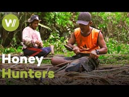 Preparations before hunting for honey in Indonesia