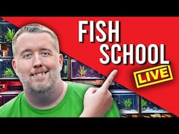 Sunday Fish School 6PM EST