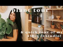 PLANT TOUR ~ all my houseplants + small space home tour | a look into my 450 sq ft studio apartment