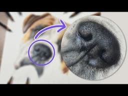 ✸ Dog Nose in Colored Pencil ✸ Drawing Tutorial