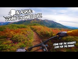 Alaska: Living The Wild Life - An MTB Road Trip