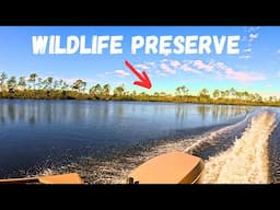 Fishing Tippicanoe Backwater Sanctuary | CharlotteHarborFisherman