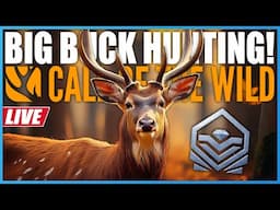 NEW Diamond Grind! Let's Hunt! | theHunter Call Of The Wild